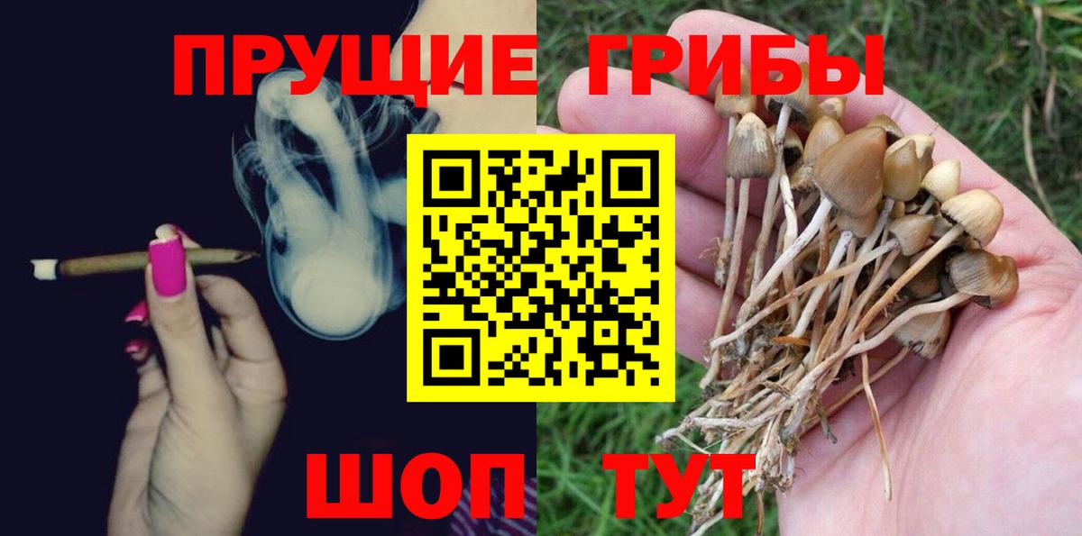 Галлюциногенные грибы Magic Shrooms Гулькевичи